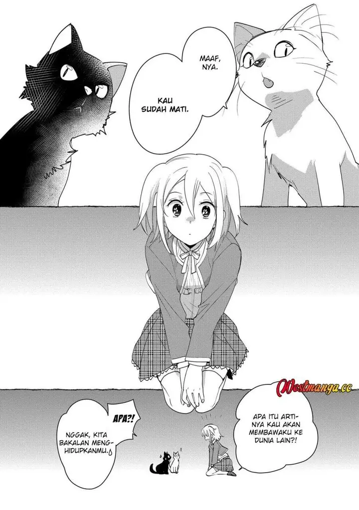 image-komik-sokushi-cheat-ga-saikyou-sugite-isekai-no-yatsura-ga-marude-aite-ni-naranai-n-desu-ga-chapter-52-4/37