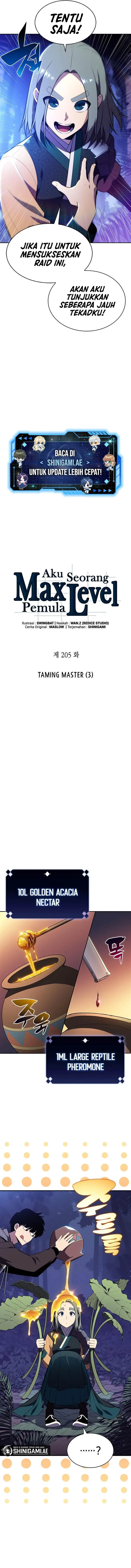 image-komik-solo-max-level-newbie-chapter-205-2/18