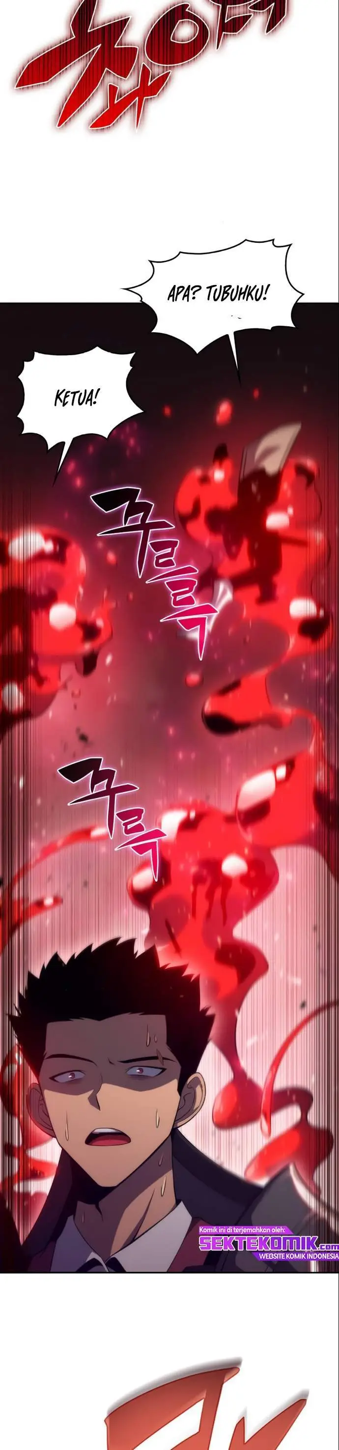 image-komik-solo-max-level-newbie-chapter-21-10/46