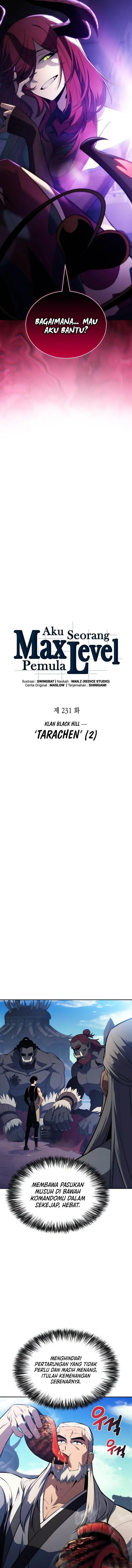 image-komik-solo-max-level-newbie-chapter-231-4/18