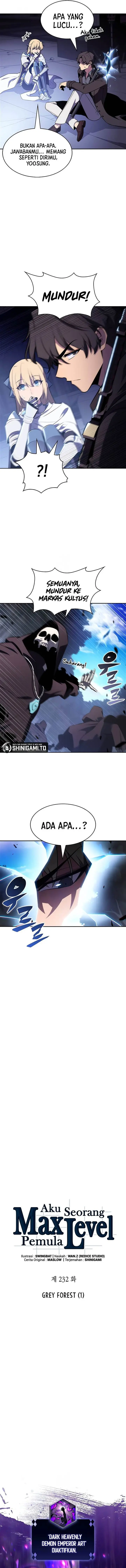 image-komik-solo-max-level-newbie-chapter-232-5/16