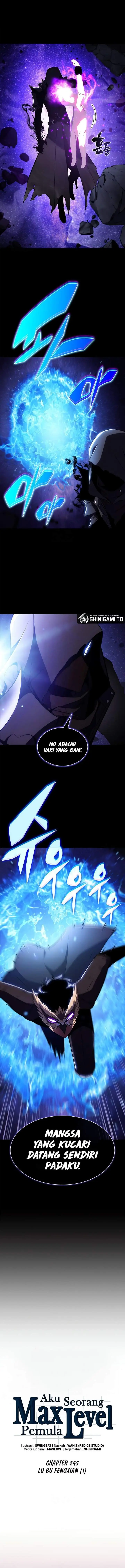 image-komik-solo-max-level-newbie-chapter-245-2/18