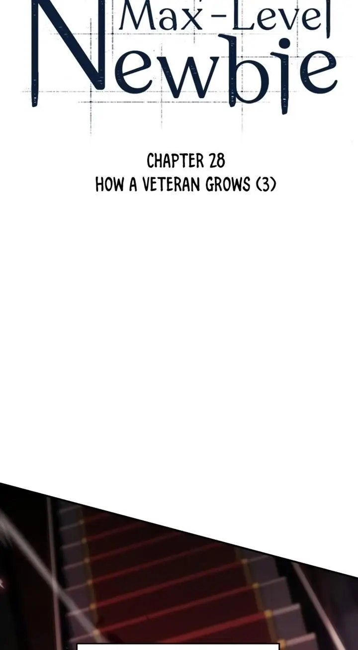 image-komik-solo-max-level-newbie-chapter-28-10/106