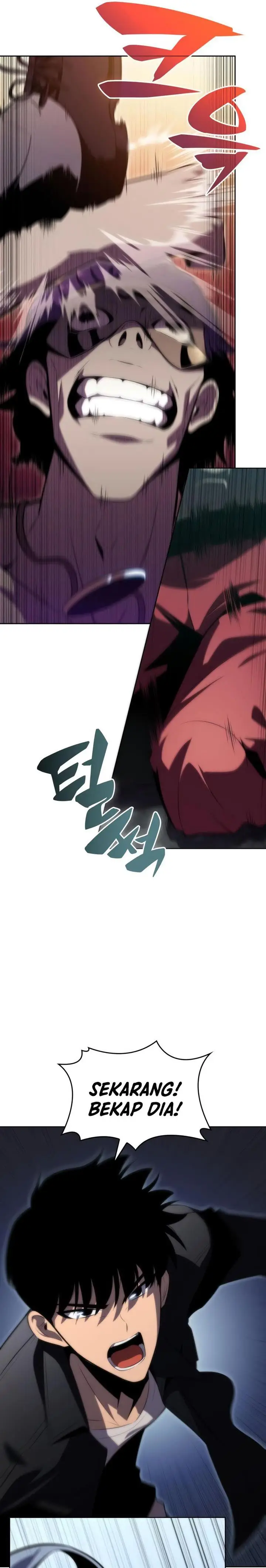 image-komik-solo-max-level-newbie-chapter-64-16/41