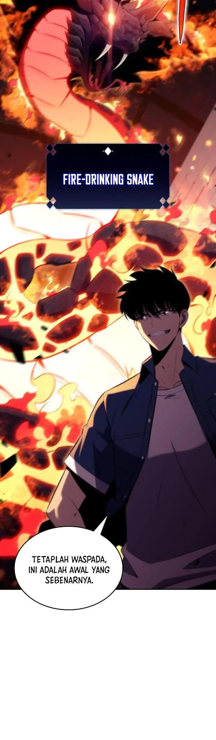 image-komik-solo-max-level-newbie-chapter-69-47/49