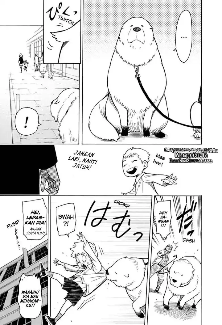 image-komik-spy-x-family-chapter-18-17/28