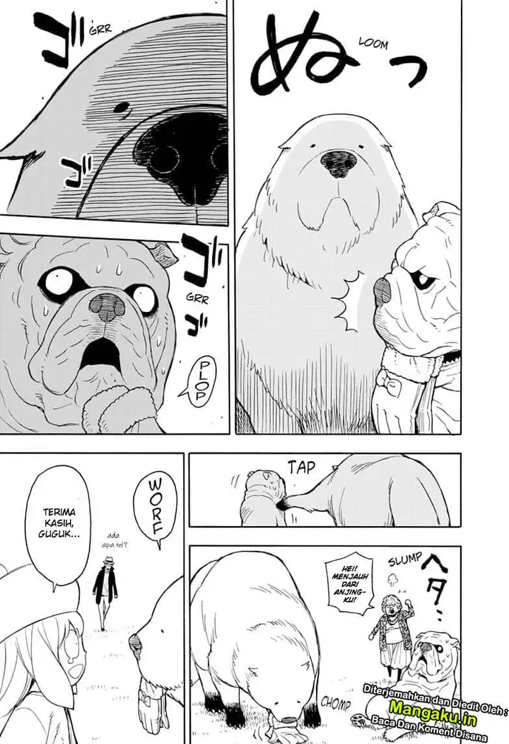 image-komik-spy-x-family-chapter-23-18/25