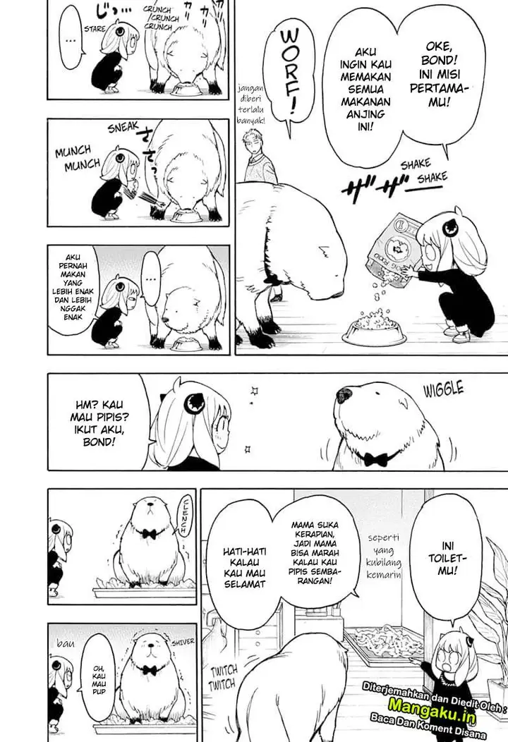 image-komik-spy-x-family-chapter-23-21/25