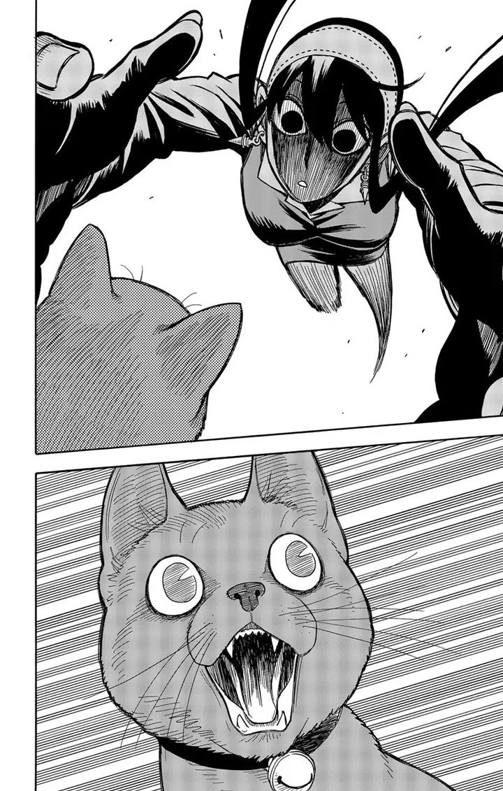 image-komik-spy-x-family-chapter-43-15/21