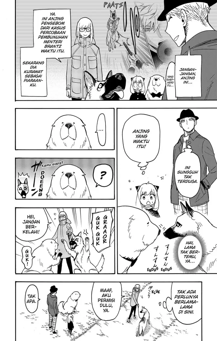 image-komik-spy-x-family-chapter-78-9/23