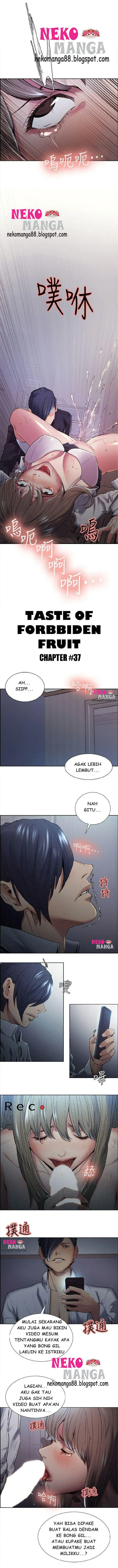 image-komik-taste-of-forbidden-fruit-chapter-37-0/11