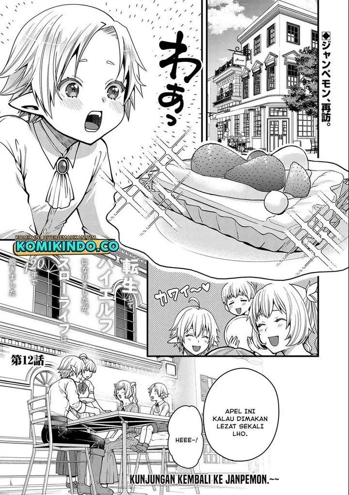 image-komik-tensei-shite-high-elf-ni-narimashitaga-slow-life-wa-120-nen-de-akimashita-chapter-12-0/32
