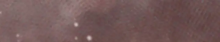 image-komik-the-31st-piece-turns-the-tables-chapter-23-19/21