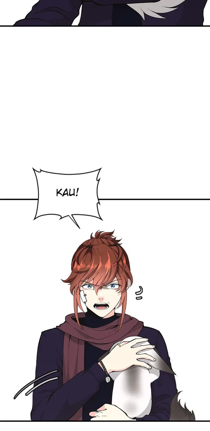 image-komik-the-beginning-after-the-end-chapter-125-55/105