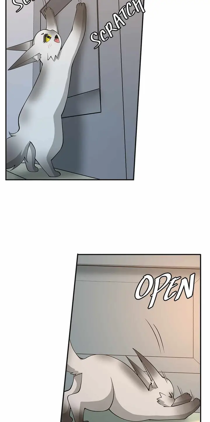 image-komik-the-beginning-after-the-end-chapter-133-40/97