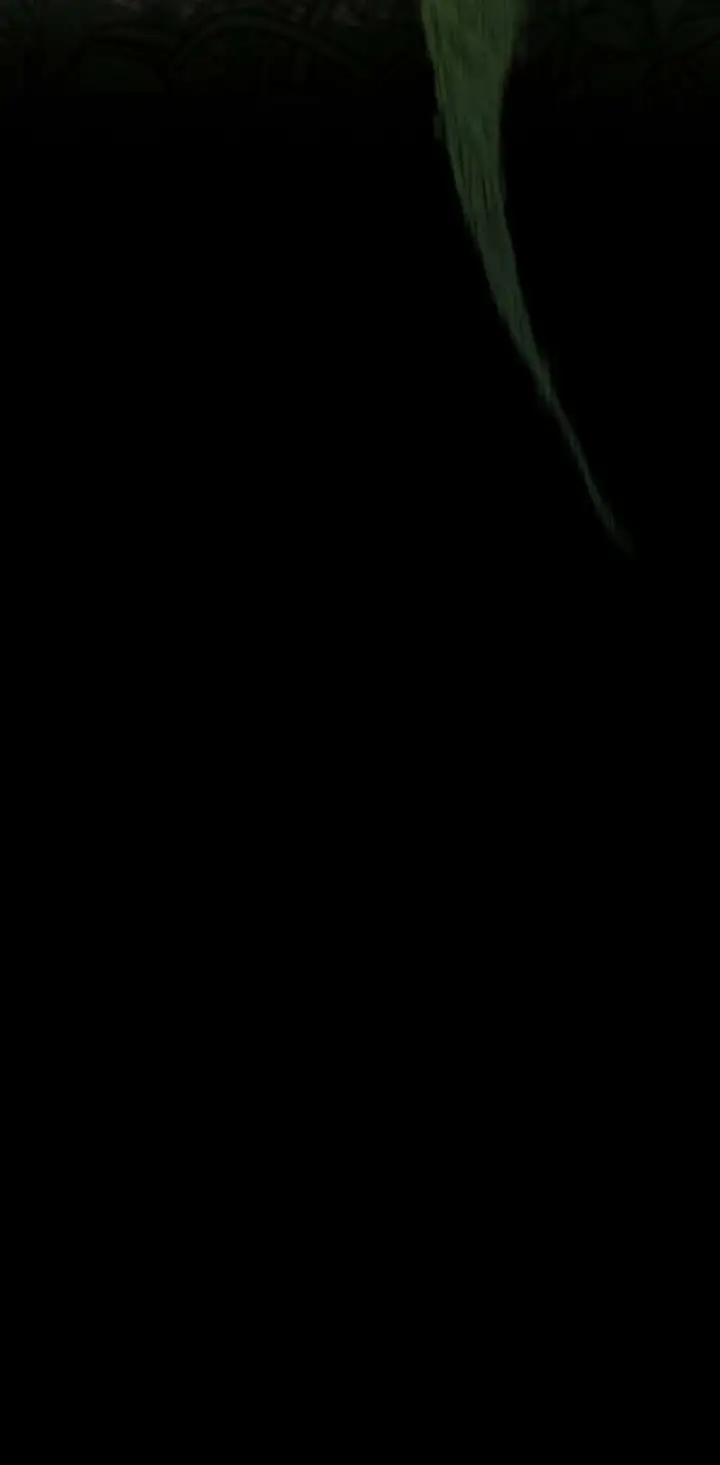 image-komik-the-beginning-after-the-end-chapter-66-48/85