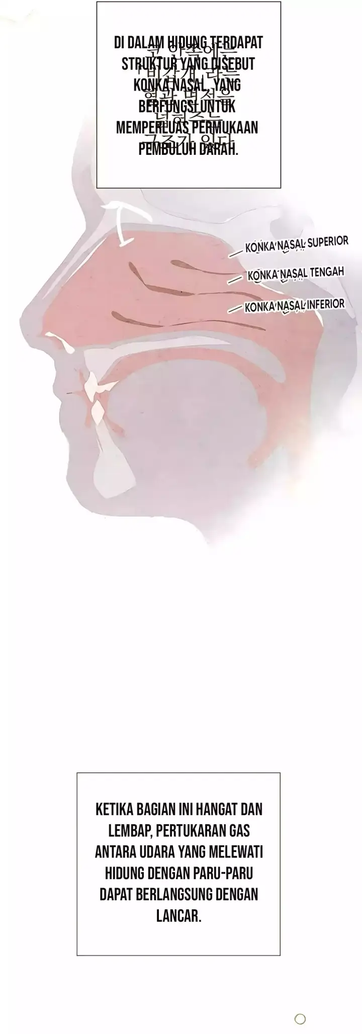 image-komik-the-black-haired-british-doctor-chapter-27-9/39