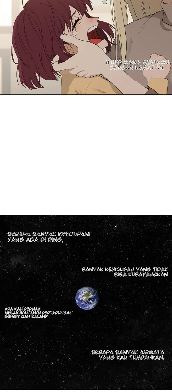 image-komik-the-boxer-chapter-104-end-19/32