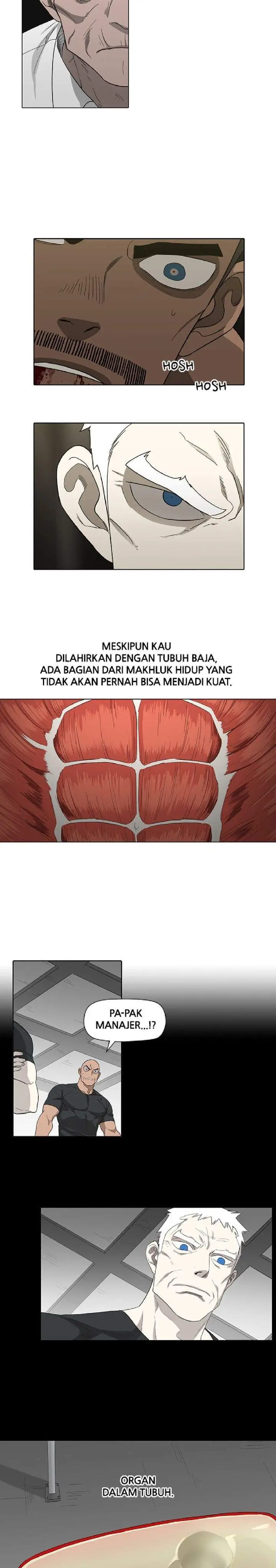 image-komik-the-boxer-chapter-83-18/25