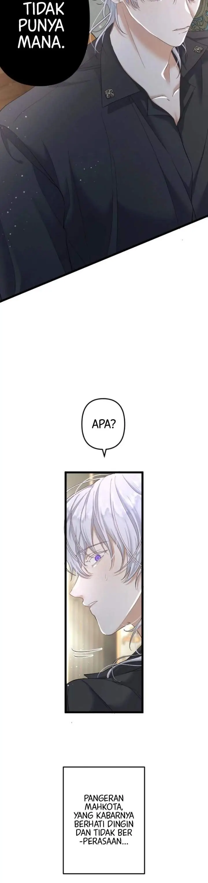 image-komik-the-calamity-prince-desires-the-fake-princess-chapter-3-9/25