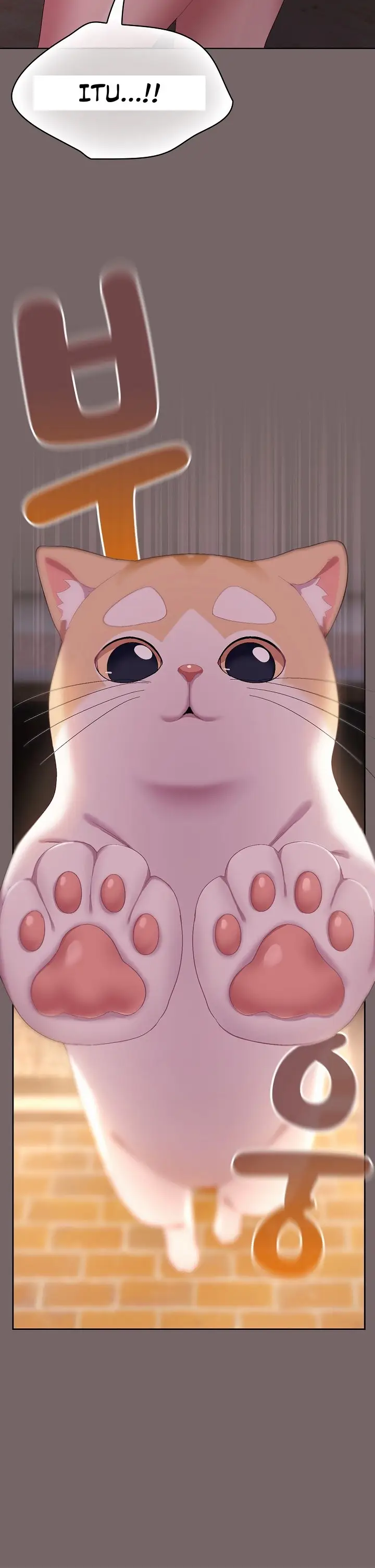 image-komik-the-general-is-here-meowtchmaker-chapter-03-15/23