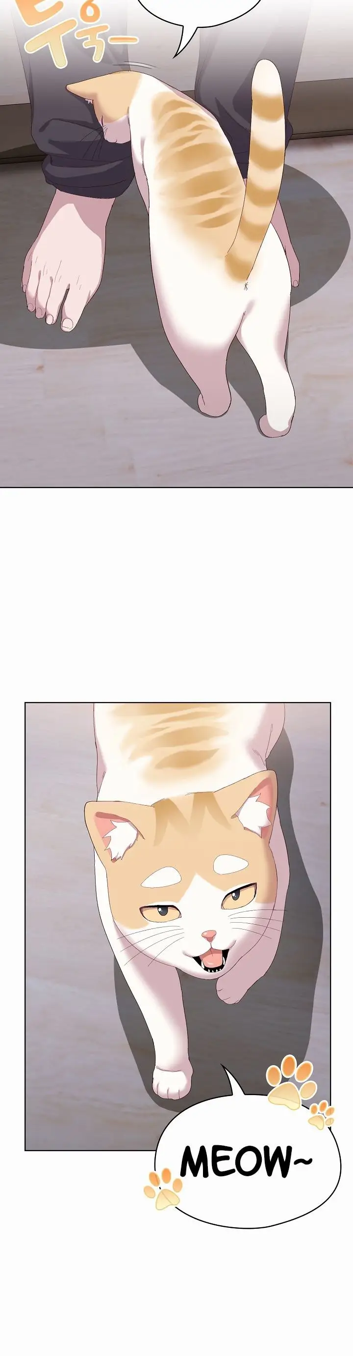 image-komik-the-general-is-here-chapter-2-12/24
