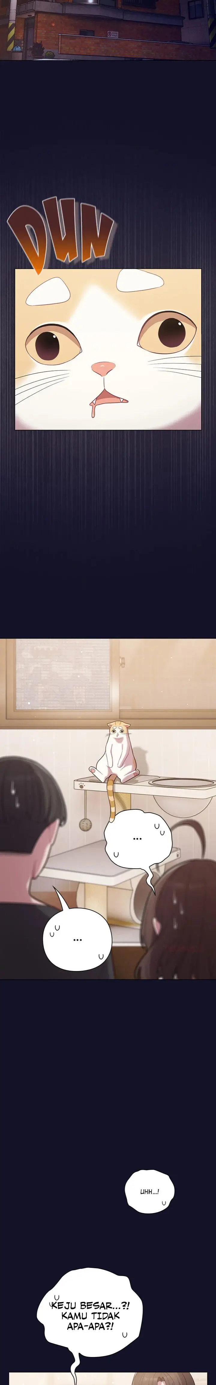 image-komik-the-general-is-here-chapter-53-2/20