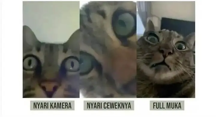 image-komik-the-heavenly-path-is-not-stupid-chapter-126-10/11