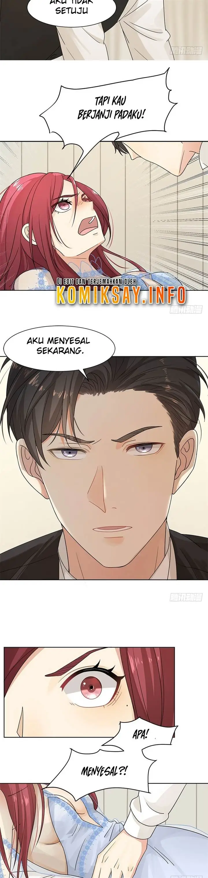 image-komik-the-hidden-marriage-president-dont-mess-around-chapter-16-14/20