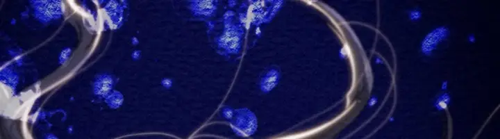 image-komik-the-man-who-devours-chapter-47-59/70