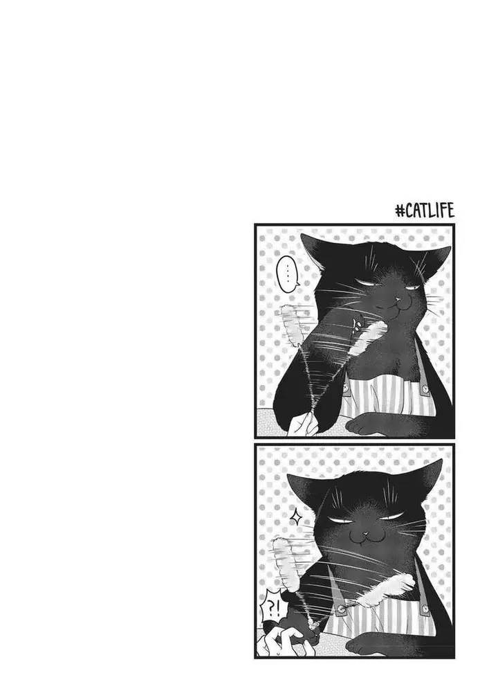 image-komik-the-masterful-cat-is-depressed-again-today-chapter-25-11/12