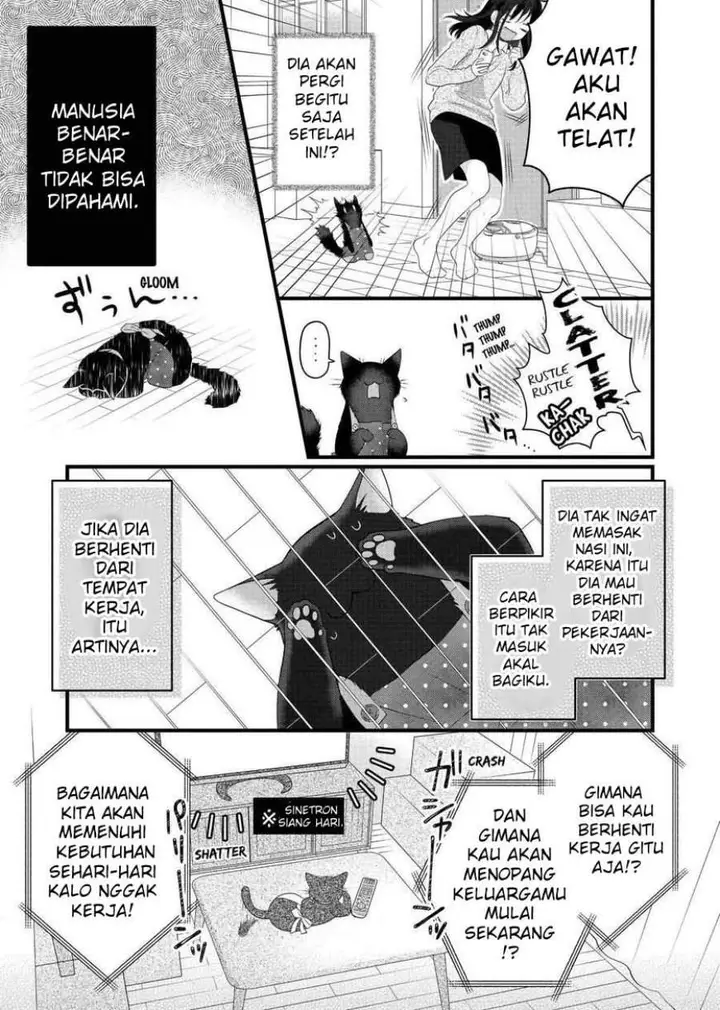 image-komik-the-masterful-cat-is-depressed-again-today-chapter-69.5-4/21