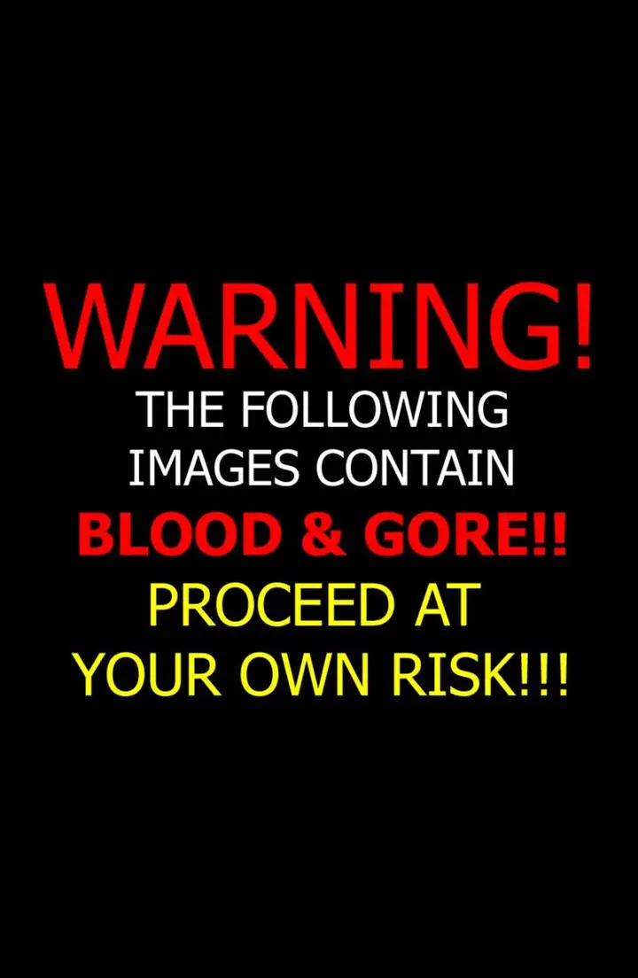 image-komik-the-origin-of-ollie-chapter-6-1/12