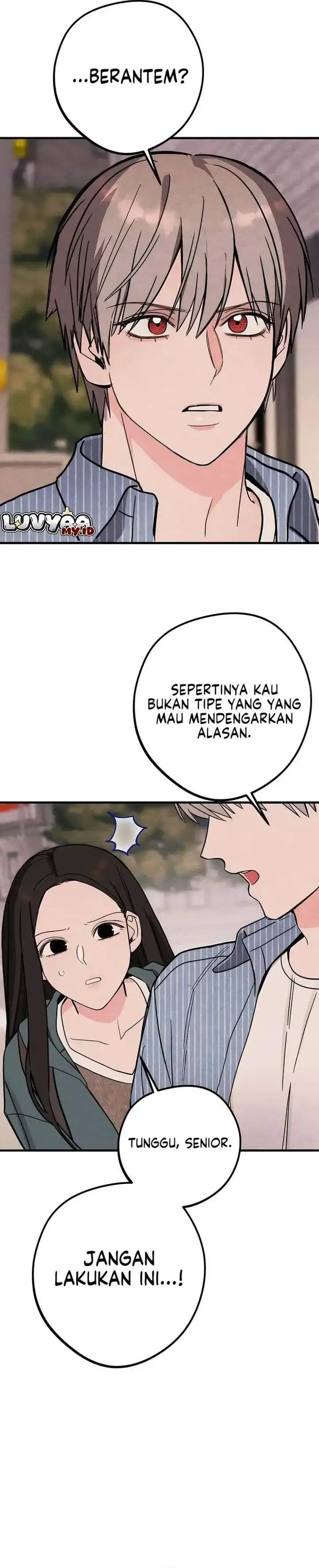 image-komik-the-perfect-seniors-secret-chapter-2-24/34