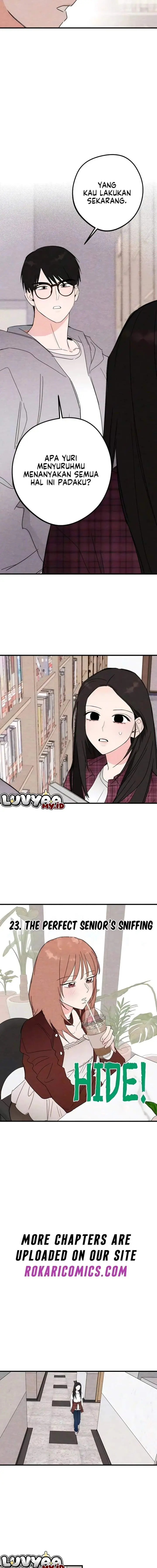 image-komik-the-perfect-seniors-secret-chapter-23-1/15
