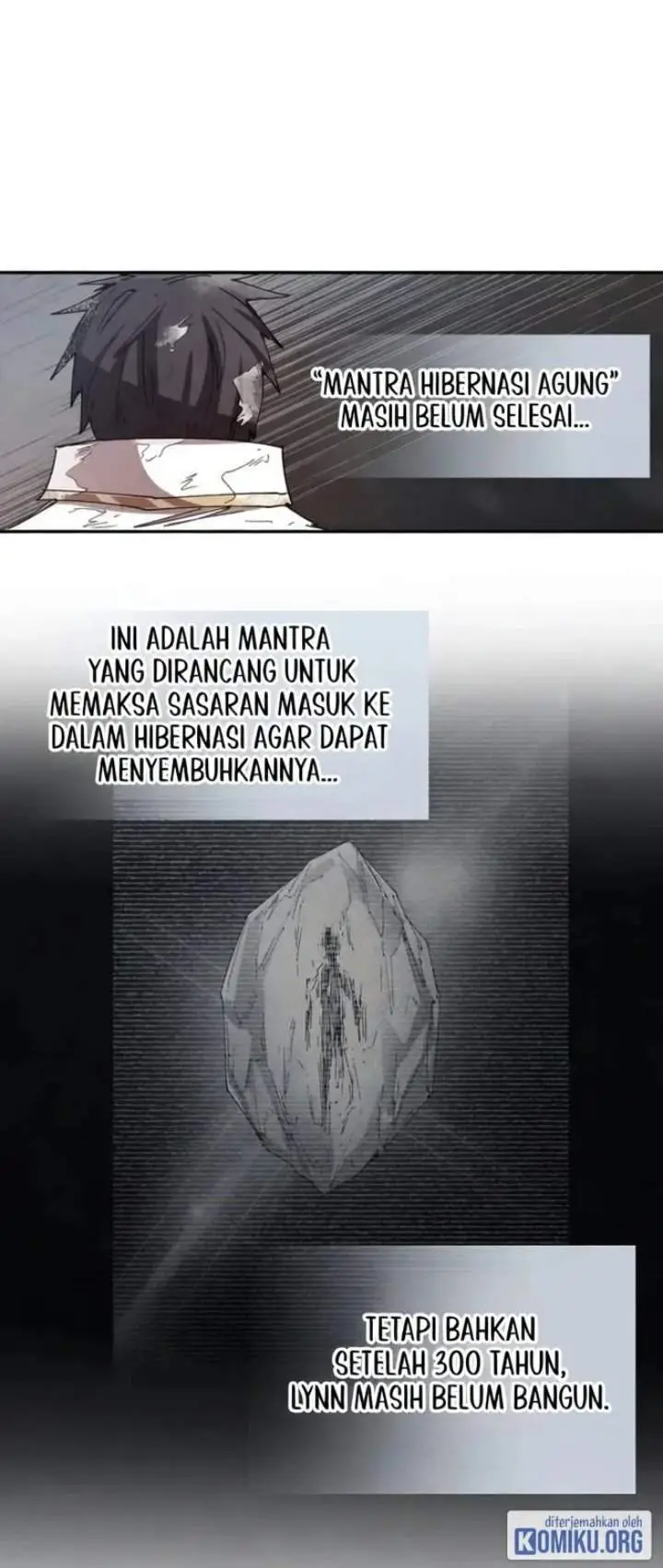 image-komik-the-rebirth-of-the-heros-partys-archmage-chapter-149-27/45
