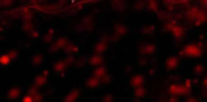 image-komik-the-reincarnation-of-the-forbidden-archmage-chapter-100-11/18