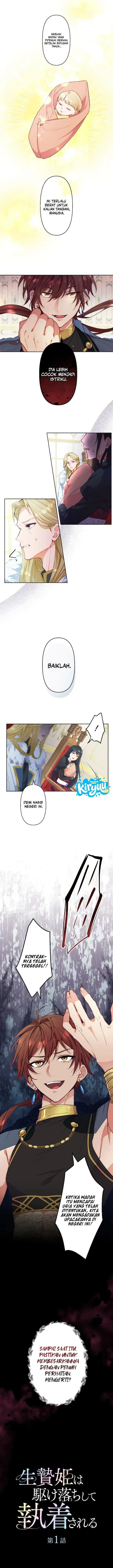image-komik-the-sacrificial-princess-ran-away-and-was-devotedly-adored-chapter-1-3/18