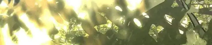 image-komik-the-saint-levels-up-through-necromancy-chapter-3-28/31