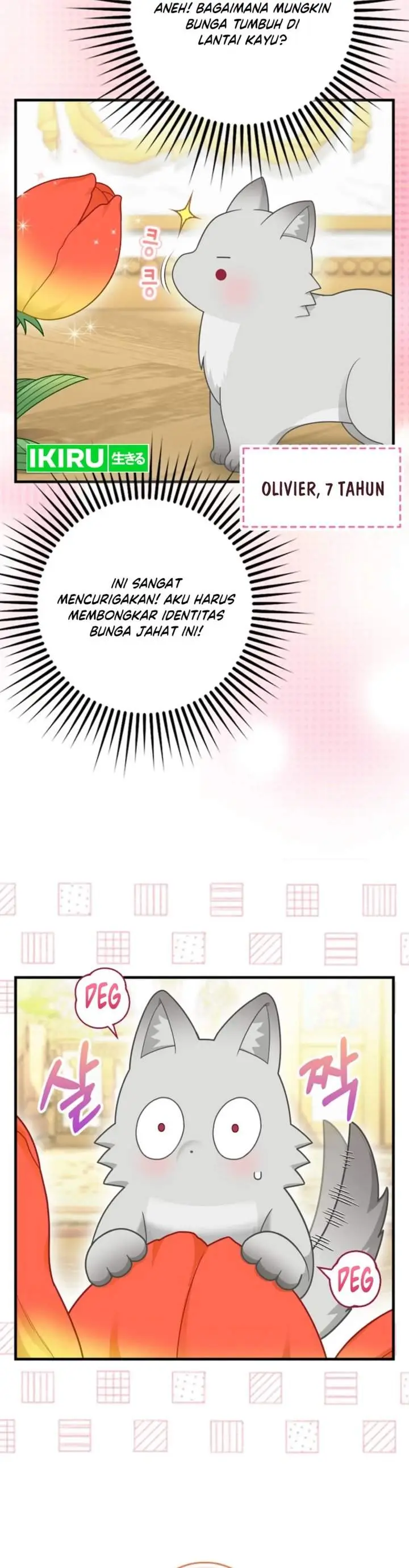 image-komik-the-snow-leopard-baby-of-the-black-leopard-family-chapter-64.1-1/9