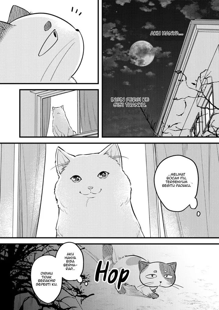 image-komik-the-story-of-a-cat-that-has-lived-for-100-years-chapter-00-5/19