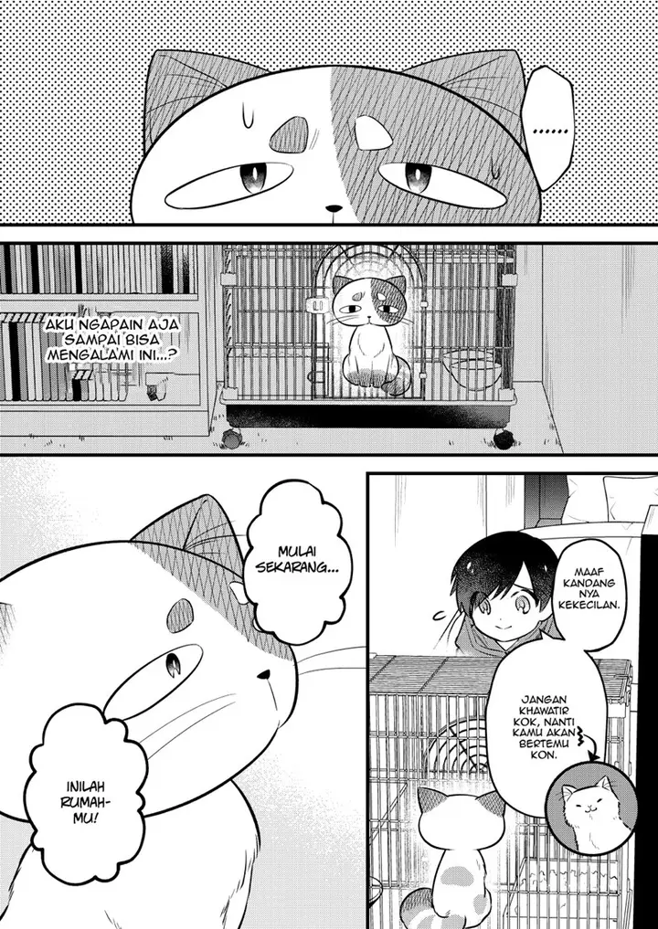 image-komik-the-story-of-a-cat-that-has-lived-for-100-years-chapter-00-7/19