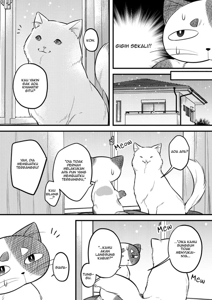 image-komik-the-story-of-a-cat-that-has-lived-for-100-years-chapter-00-11/19