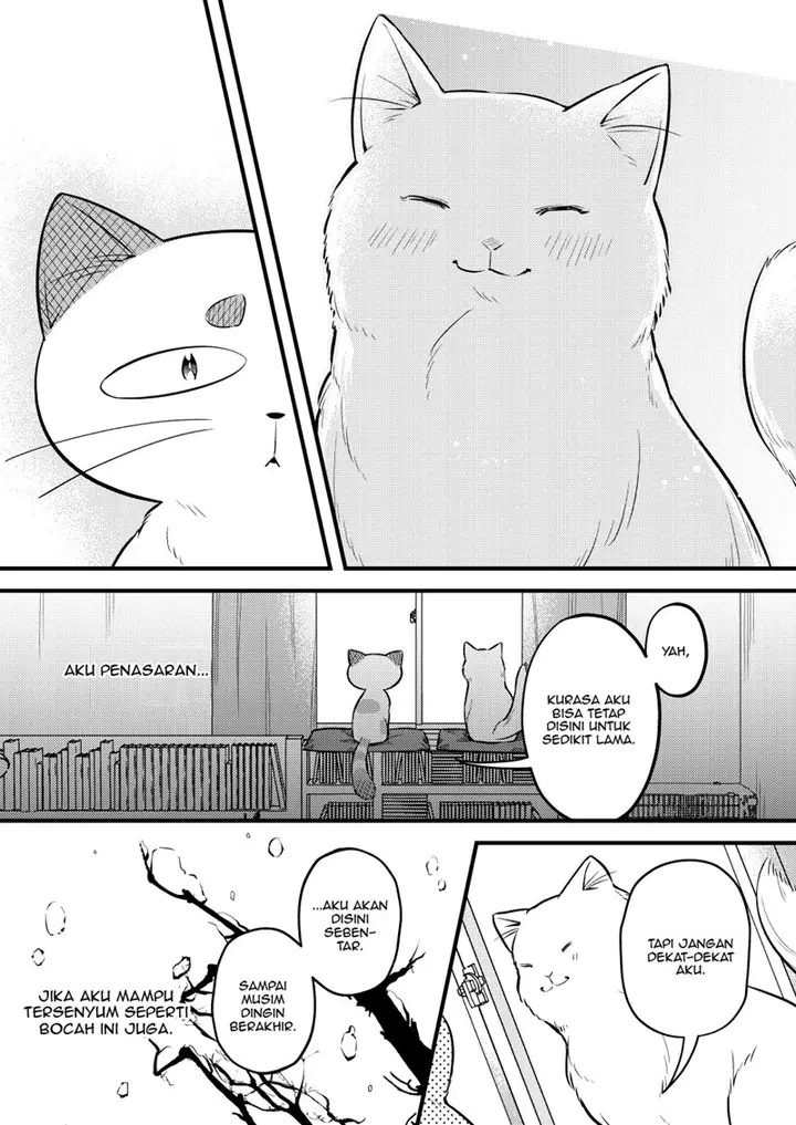 image-komik-the-story-of-a-cat-that-has-lived-for-100-years-chapter-00-12/19