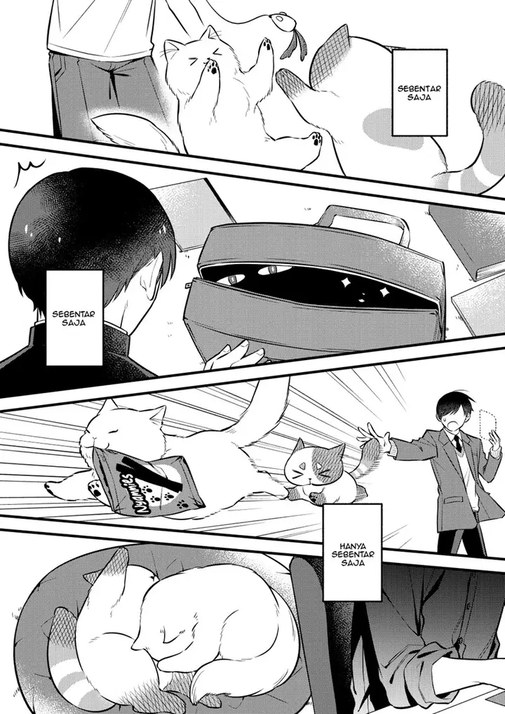 image-komik-the-story-of-a-cat-that-has-lived-for-100-years-chapter-00-13/19