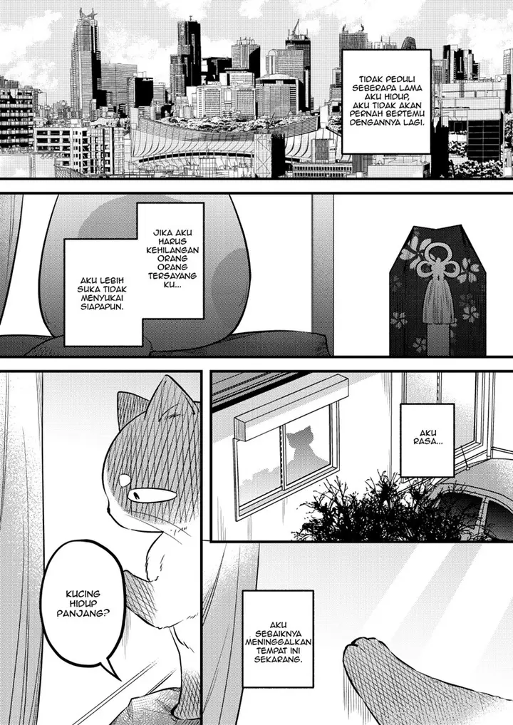 image-komik-the-story-of-a-cat-that-has-lived-for-100-years-chapter-00-16/19