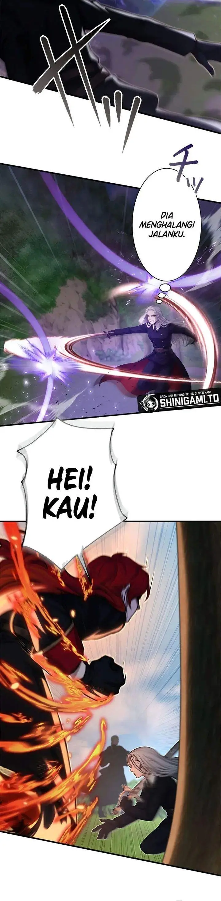 image-komik-the-sword-saint-reincarnated-into-a-noble-mage-family-chapter-10-11/33