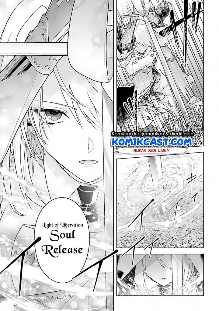 image-komik-the-undead-lord-of-the-palace-of-darkness-chapter-8-14/36