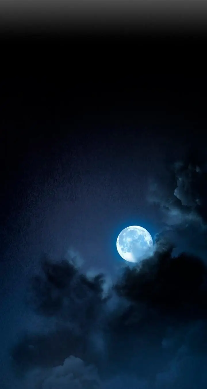 image-komik-the-worlds-best-sect-of-dependency-chapter-10-38/59