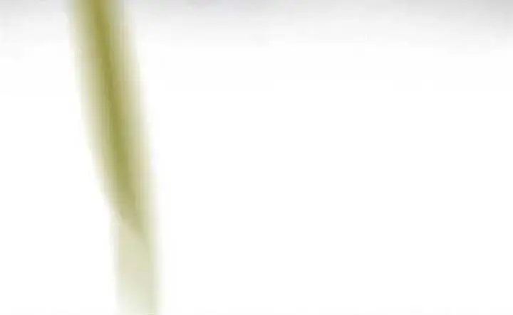 image-komik-to-be-the-castellan-king-chapter-446-8/10